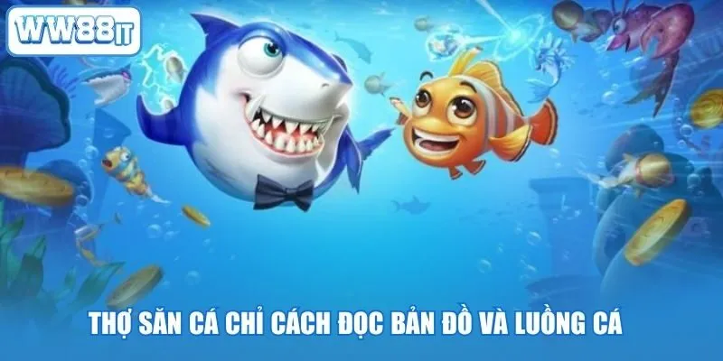 Thợ săn cá chỉ cách đọc bản đồ và luồng cá