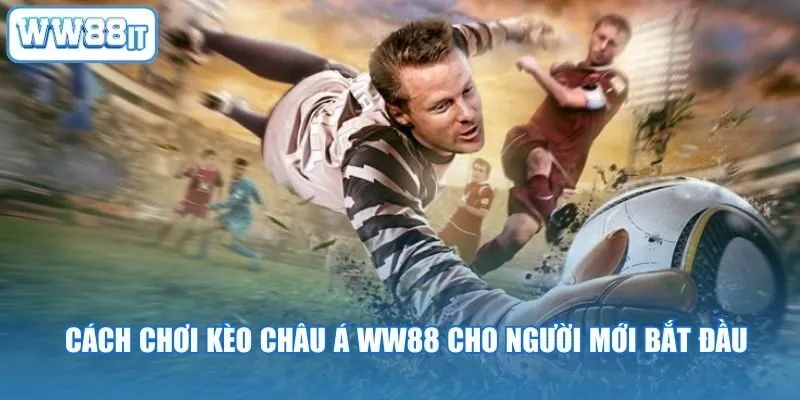 Cách Chơi Kèo Châu Á WW88 Cho Người Mới Bắt Đầu